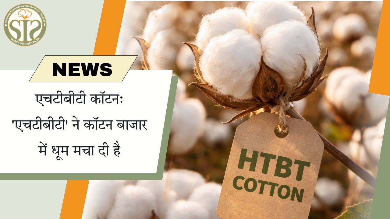 एचटीबीटी कॉटन: बाजार में नई हलचल