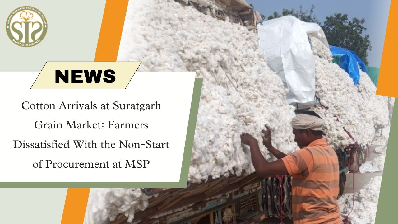 "Farmers are angry as procurement at MSP has not started in Suratgarh."