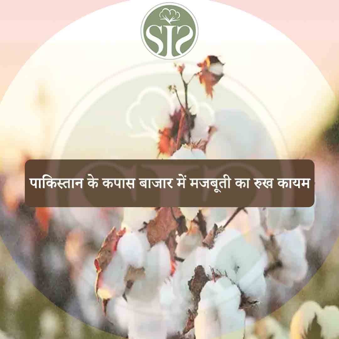 Strong trend continues in Pakistan's cotton market