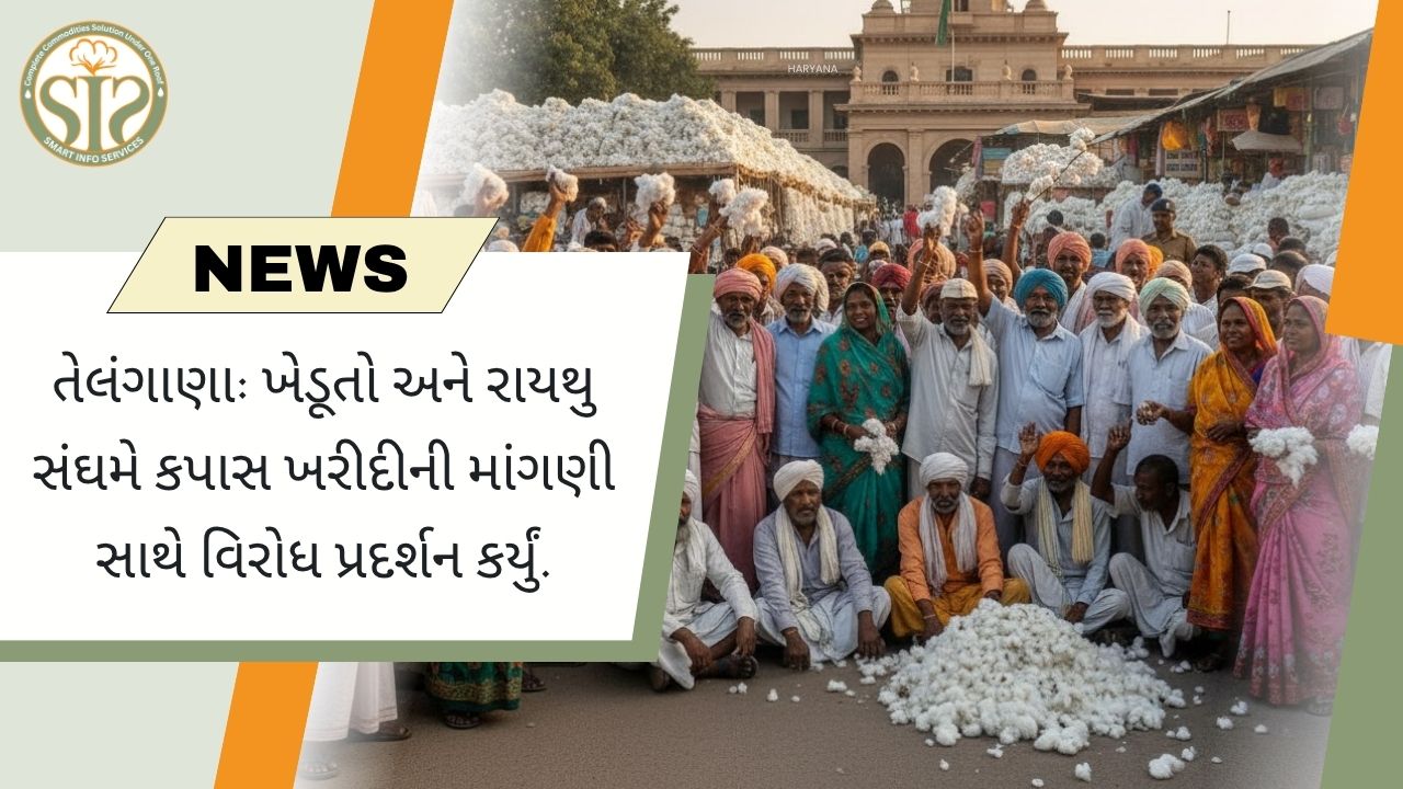 તેલંગાણામાં કપાસ ખરીદી પર ખેડૂતોના વિરોધ પ્રદર્શનની અસર