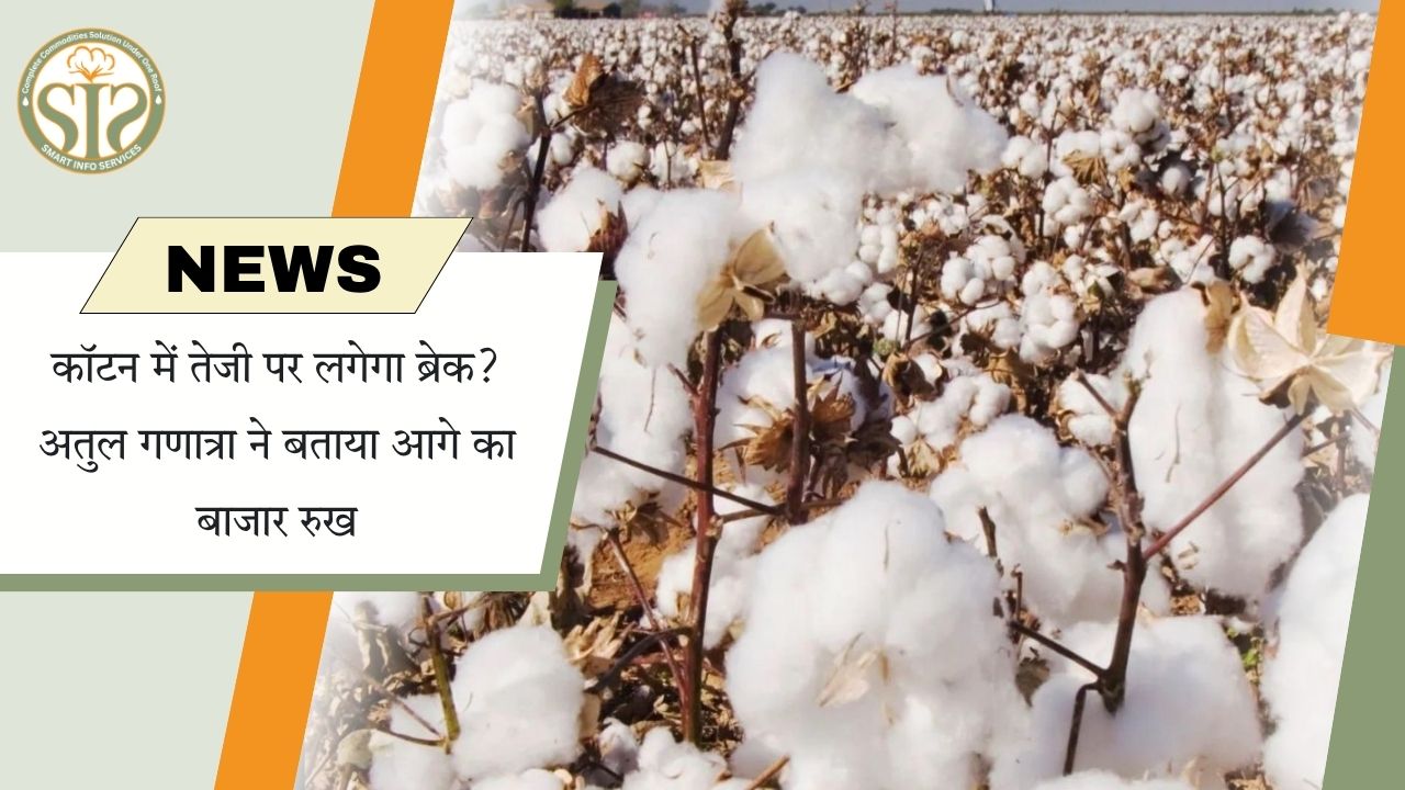 कपास तेजी पर लग सकता है ब्रेक