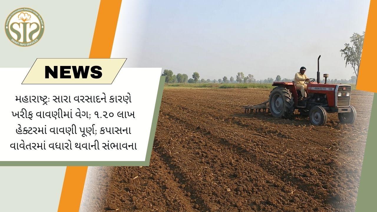 અકોલામાં ખરીફ વાવેતર તેજ, કપાસ વધશે