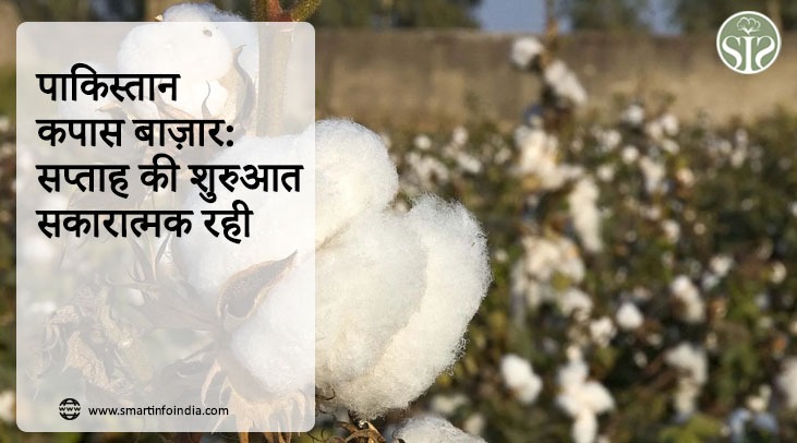 पाकिस्तान : कपास बाज़ार: सप्ताह की शुरुआत सकारात्मक रही