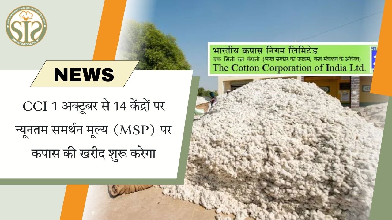 CCI 1 अक्टूबर से 14 केंद्रों पर MSP पर कपास खरीदेगा