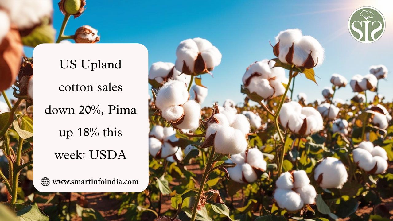 US Upland cotton sales down 20%, Pima up 18% this week: USDA