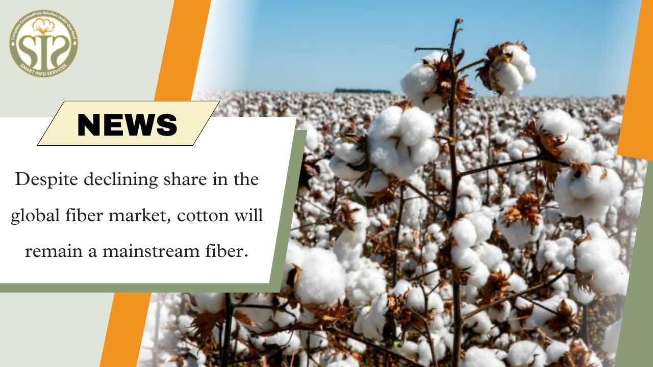 Cotton will remain the main fibre despite declining share