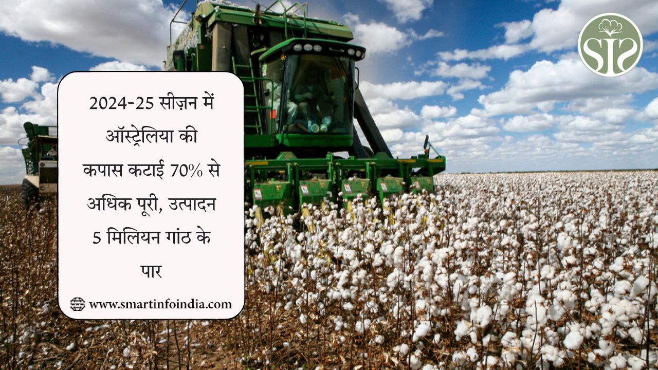 2024-25 सीज़न में ऑस्ट्रेलिया की कपास कटाई 70% से अधिक पूरी, उत्पादन 5 मिलियन गांठ के पार