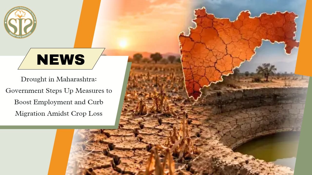 Maharashtra Drought Measures Intensify