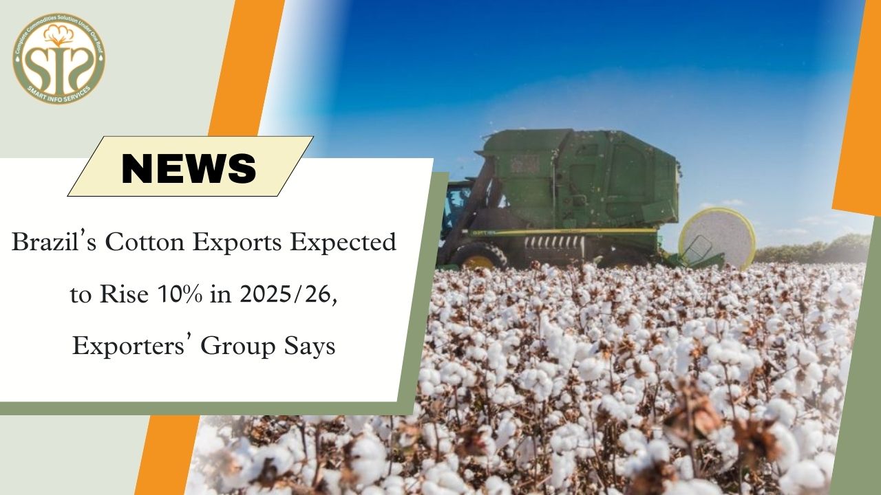 “2025/26: Brazil cotton exports to jump 10%”