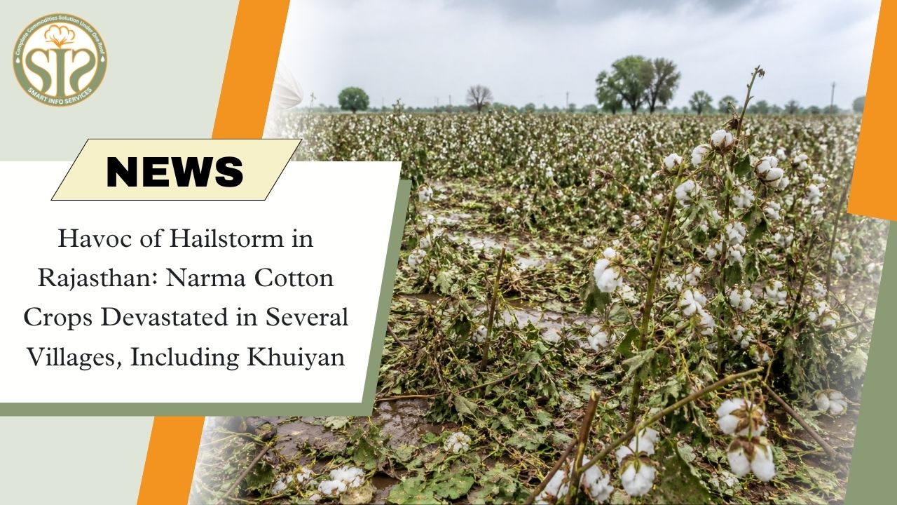 Rajasthan: Crops Devastated in Several Villages, Including Khuiyan