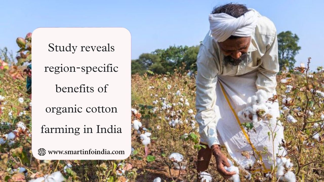 Study reveals region-specific benefits of organic cotton farming in India