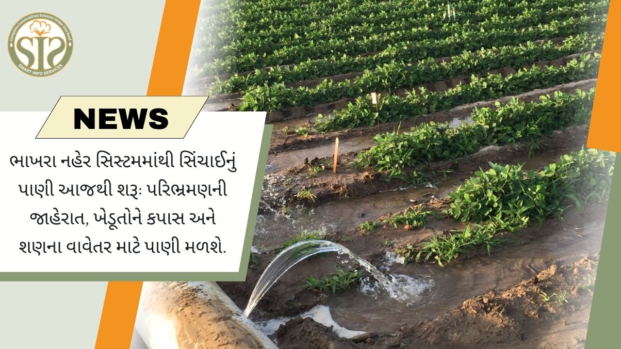 હનુમાનગઢમાં ભાખરા કેનાલનું પાણી શરૂ, કપાસ અને ખરીફ વાવેતરને મળશે લાભ