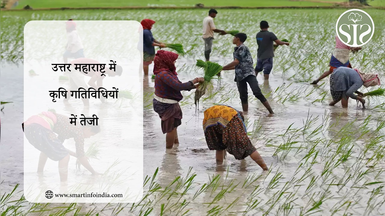 उत्तर महाराष्ट्र में कृषि गतिविधियों में तेजी
