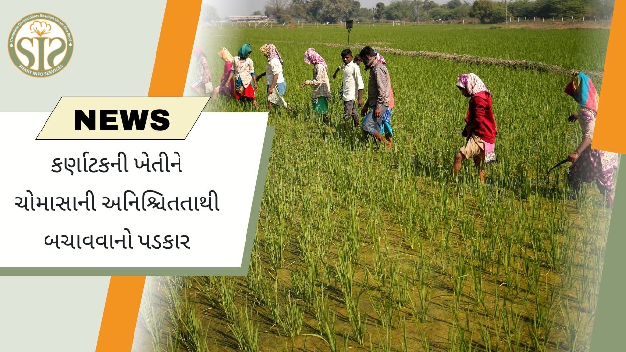 કર્ણાટકમાં નબળા ચોમાસાથી ખરીફ પાક અને ખાદ્ય સુરક્ષા પર સંકટ