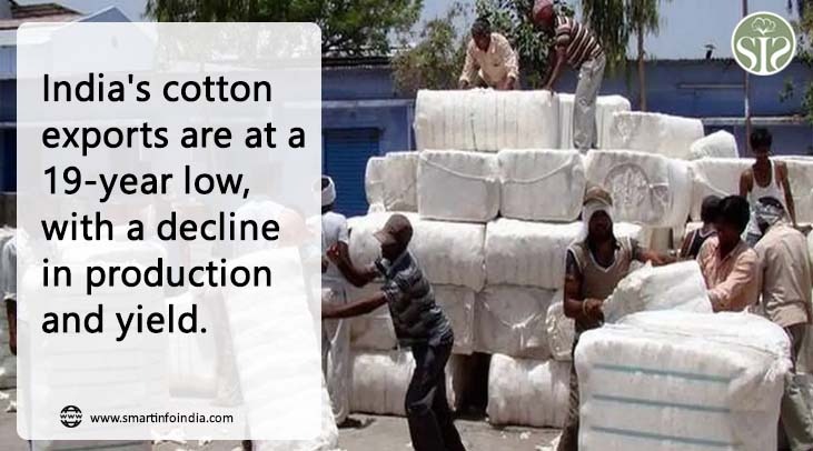 India's cotton exports at 19-year low, decline in production and yield