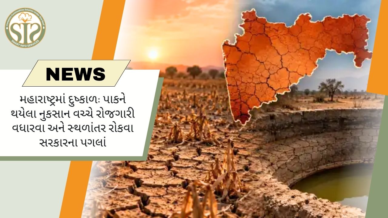 મહારાષ્ટ્રમાં દુષ્કાળ પર સરકારના પગલાં તેજ