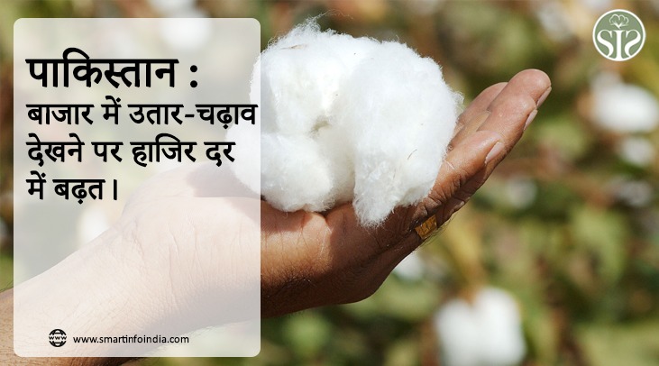 पाकिस्तान साप्ताहिक कपास समीक्षा: बाजार में उतार-चढ़ाव देखने पर हाजिर दर में बढ़त।