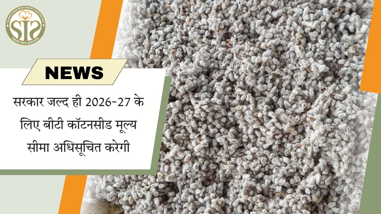 सरकार जल्द तय करेगी 2026-27 के लिए बीटी कॉटनसीड कीमत