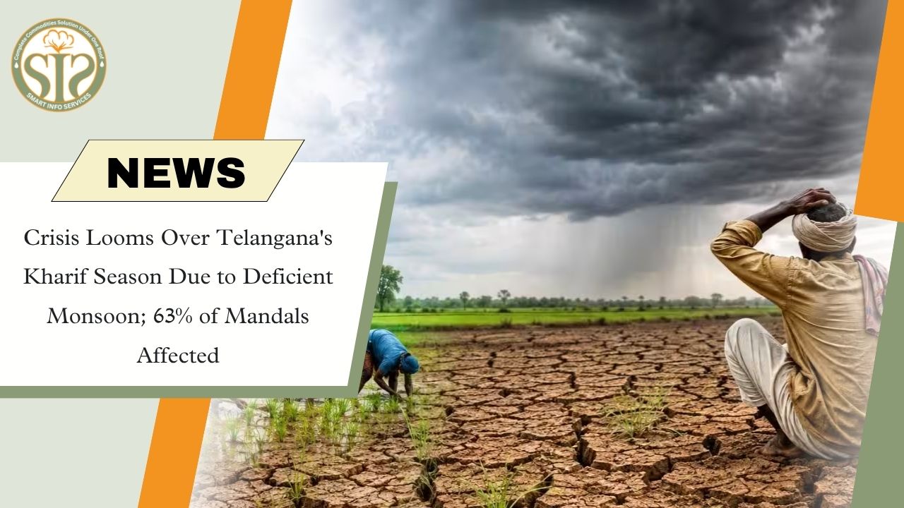Telangana Kharif Season Faces Crisis as Monsoon Deficit Hits 63% of Mandals
