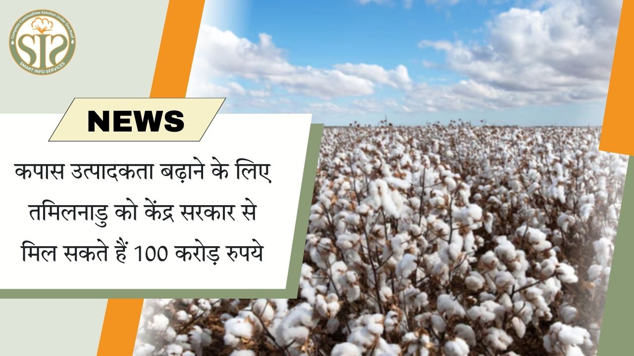 तमिलनाडु को कपास उत्पादकता हेतु केंद्र सरकार से मिल सकते हैं  100 करोड़  रुपये