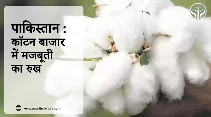 पाकिस्तान : कॉटन बाजार में मजबूती का रुख.