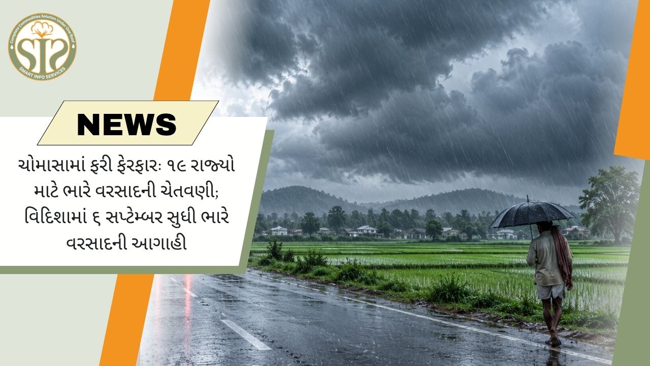 19 રાજ્યોમાં ભારે વરસાદનું એલર્ટ