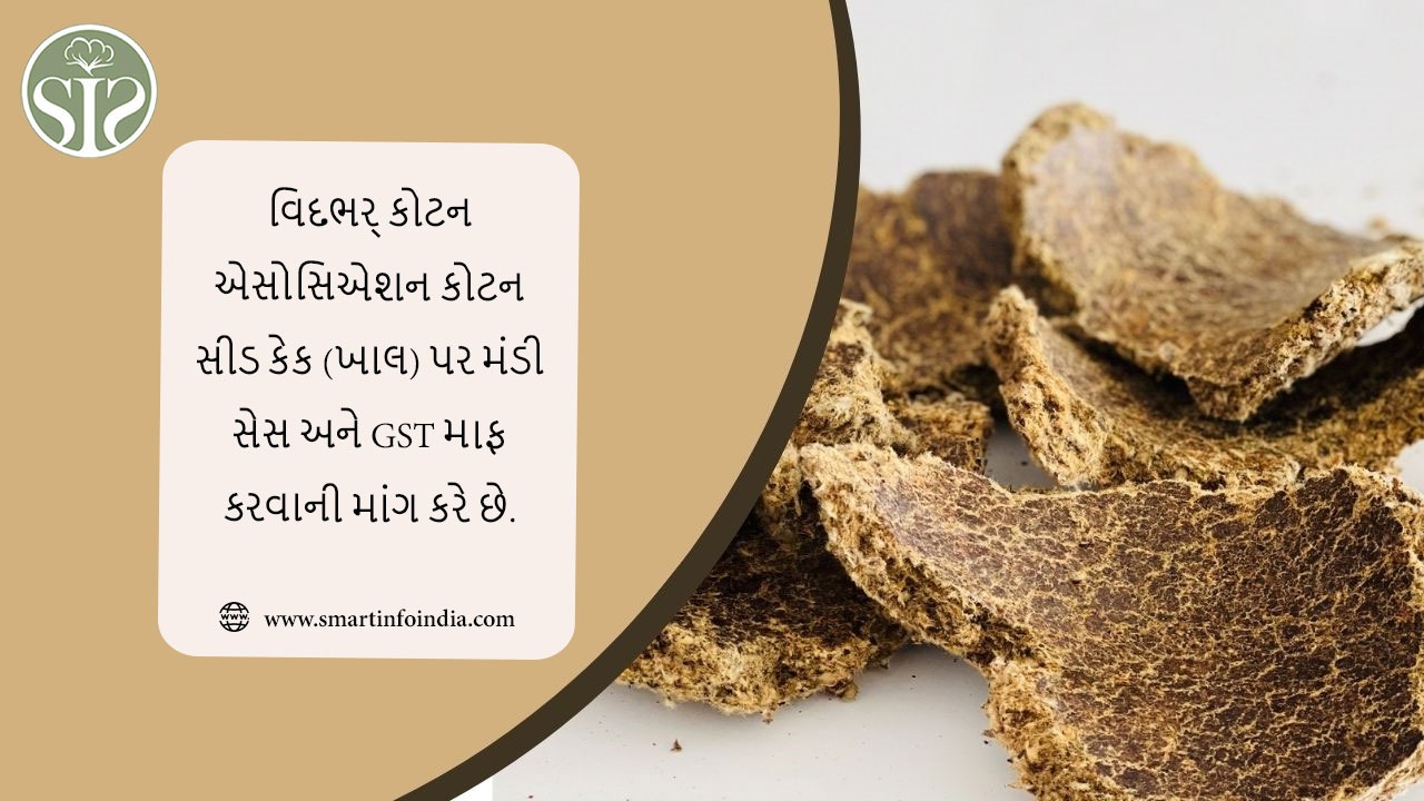 વિદર્ભ કોટન એસોસિએશન કોટન સીડ કેક (ખાલ) પર મંડી સેસ અને GST માફ કરવાની માંગ કરે છે