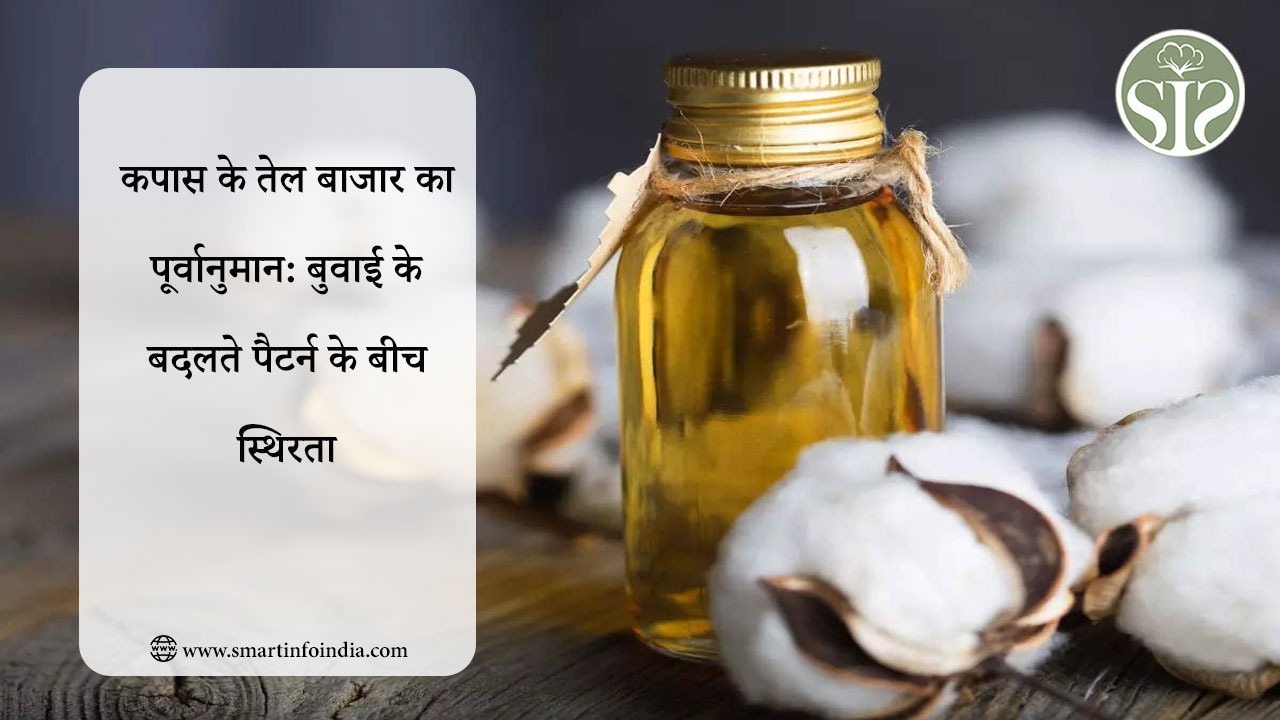 कपास के तेल बाजार का पूर्वानुमान: बुवाई के बदलते पैटर्न के बीच स्थिरता