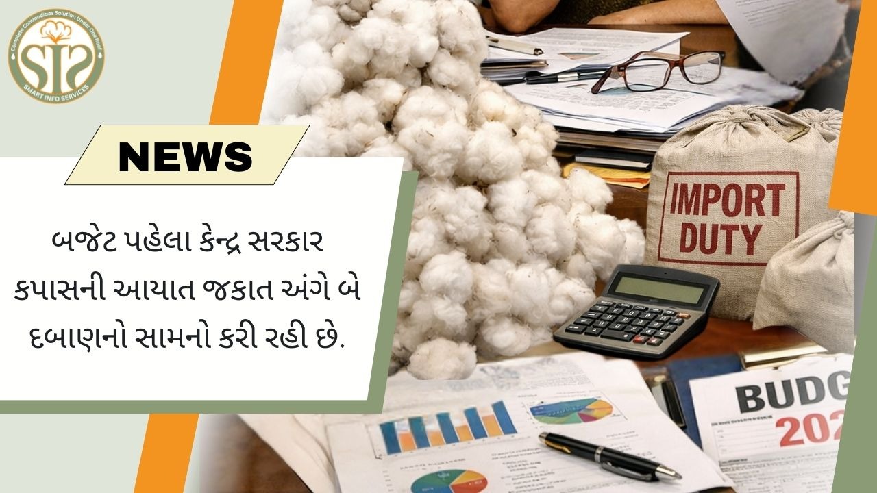 કપાસની આયાત ડ્યુટી અંગે બજેટ સમક્ષ સરકારનો પડકાર