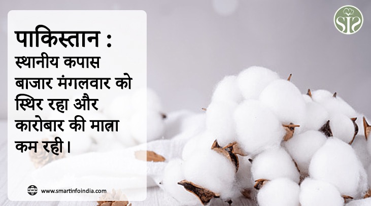 पाकिस्तान :स्थानीय कपास बाजार मंगलवार को स्थिर रहा और कारोबार की मात्रा कम रही।
