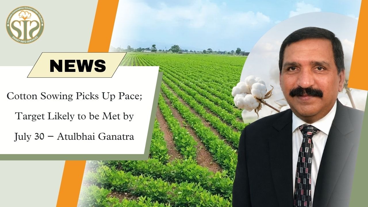 Cotton Sowing Gains Pace; July 30 Target in Sight
