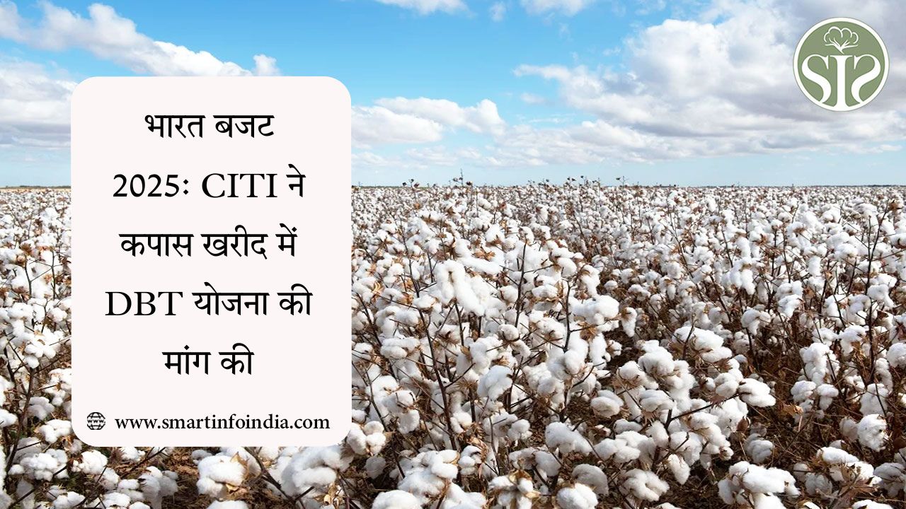 भारत बजट 2025: CITI ने कपास खरीद में DBT योजना की मांग की