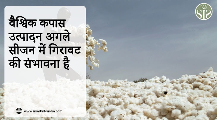 वैश्विक कपास उत्पादन अगले सीजन में गिरावट की संभावना है