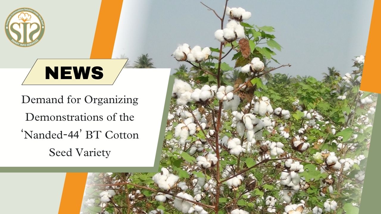 Demand for Testing of Nanded-44 Bt Cotton