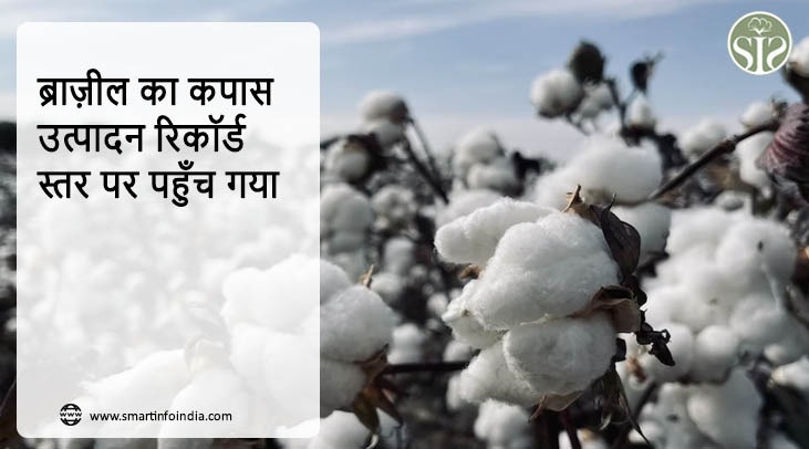 ब्राज़ील का कपास उत्पादन रिकॉर्ड स्तर पर पहुँच गया