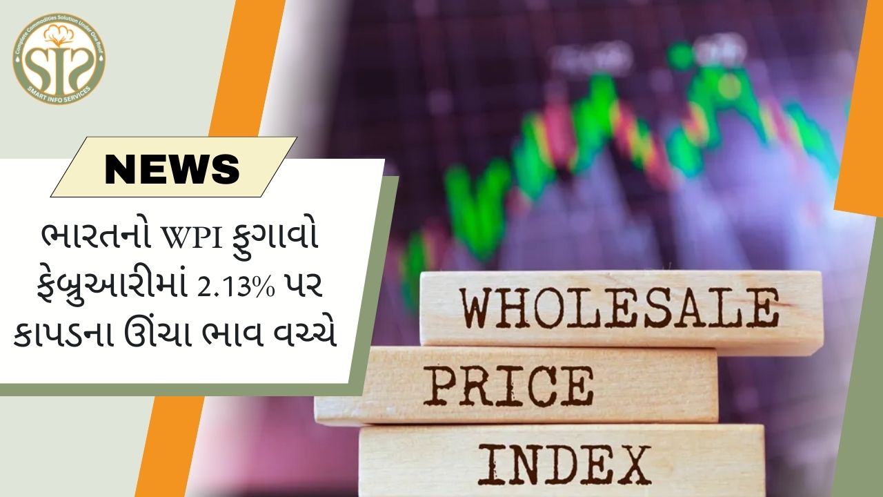 કપડાંની વધતી કિંમતોને કારણે ફેબ્રુઆરીમાં WPI વધીને 2.13% થયો
