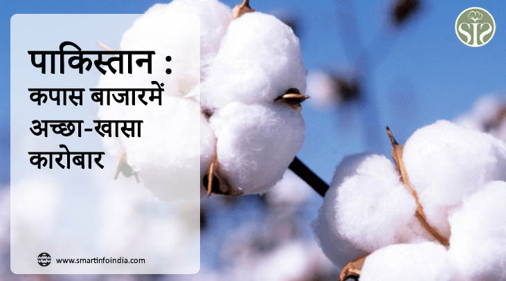 पाकिस्तान : कपास बाजार में अच्छा-खासा कारोबार.