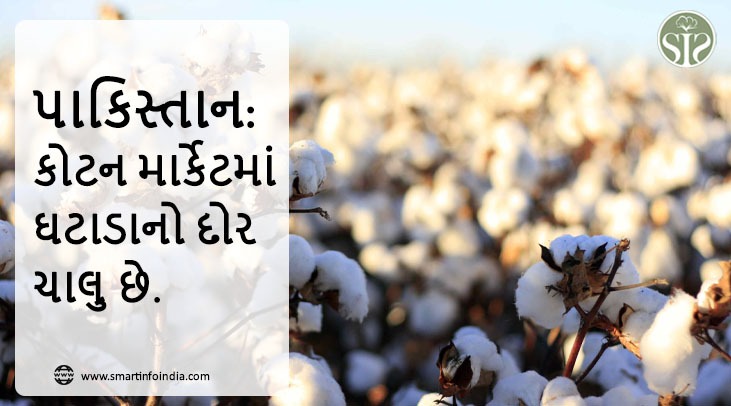 પાકિસ્તાન: કોટન માર્કેટમાં ઘટાડો ચાલુ છે.
