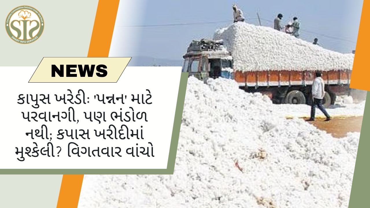 કપાસ ખરીદીની સમસ્યા: પરવાનગી મળી, ભંડોળ અટવાયું