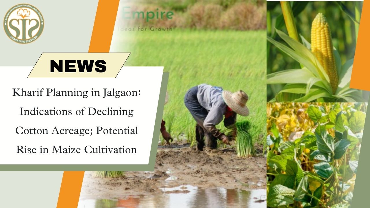 Kharif Plan: Decline in Cotton, Rise in Maize
