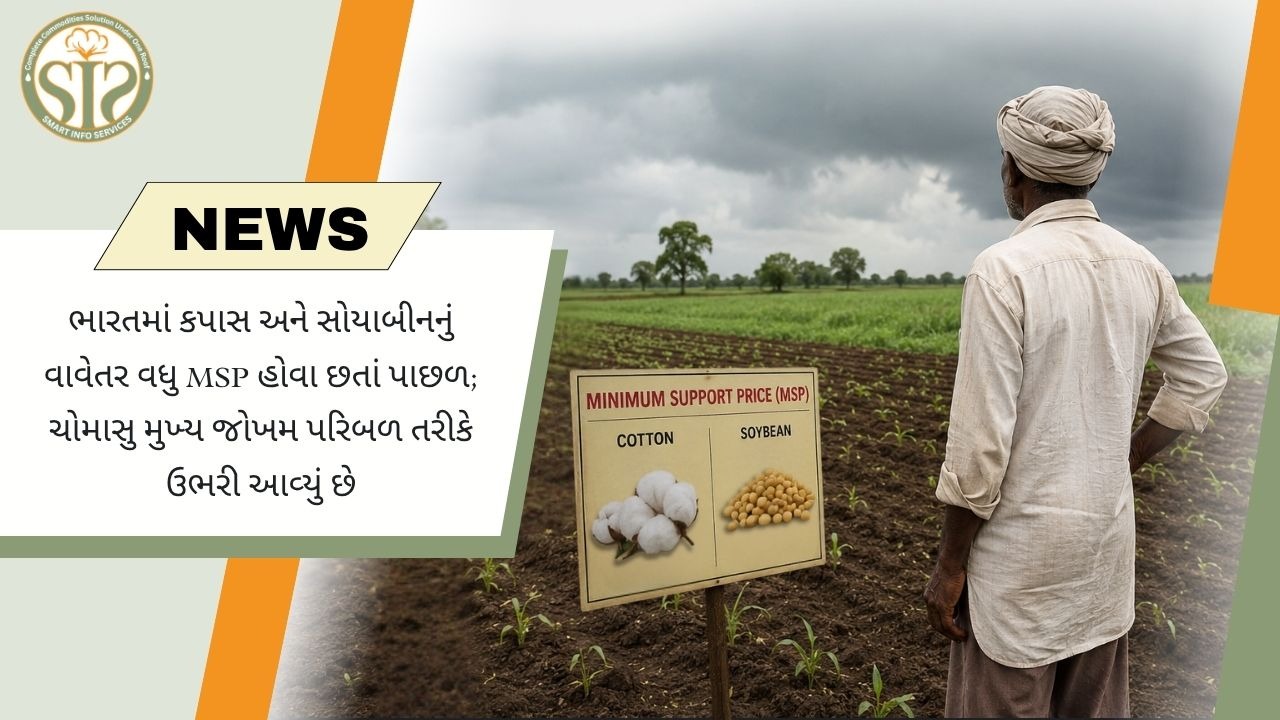 MSP વધ્યા છતાં કપાસ અને સોયાબીન વાવેતર પાછળ, ચોમાસું બન્યું મુખ્ય જોખમ