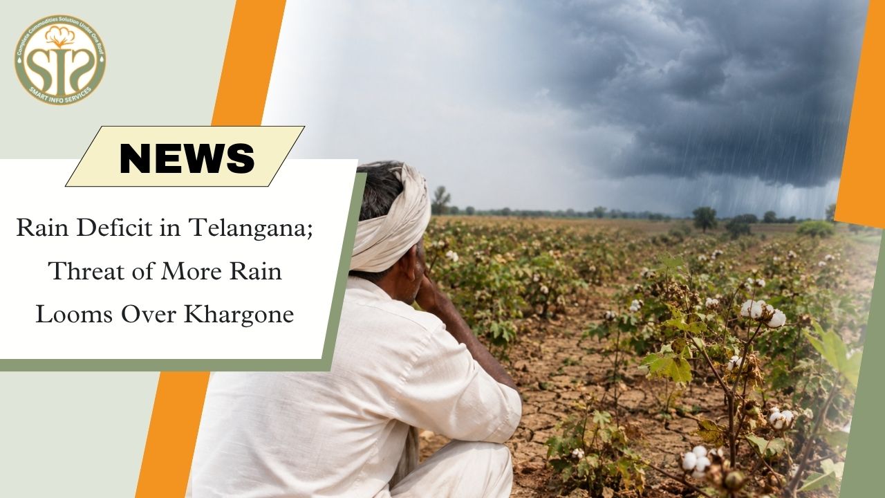 Telangana Rain Deficit, Khargone Rain Threat