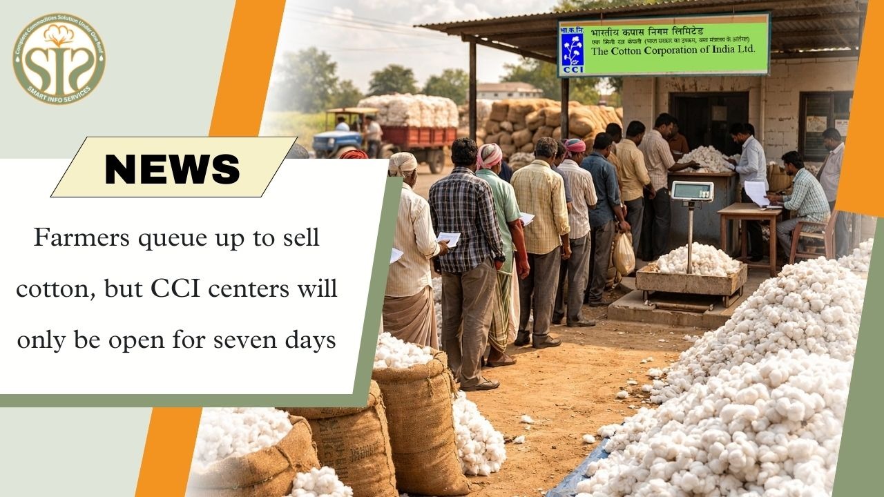 Long queues for cotton sale, CCI centres to remain open for 7 days