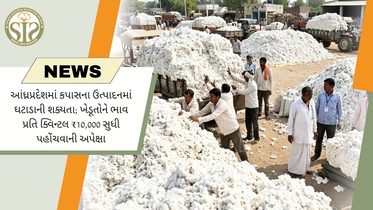 આંધ્રમાં કપાસના ભાવ ₹10,000 સુધી પહોંચવાની આશા