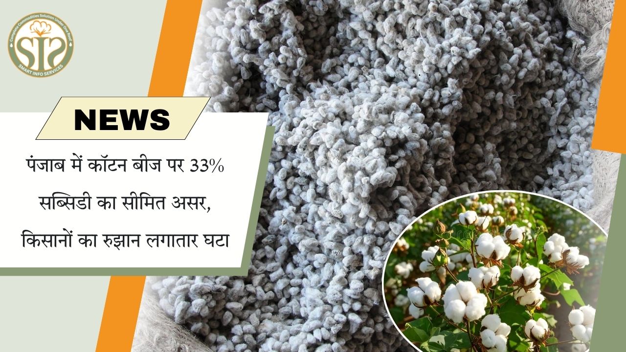 पंजाब में कपास सब्सिडी बेअसर