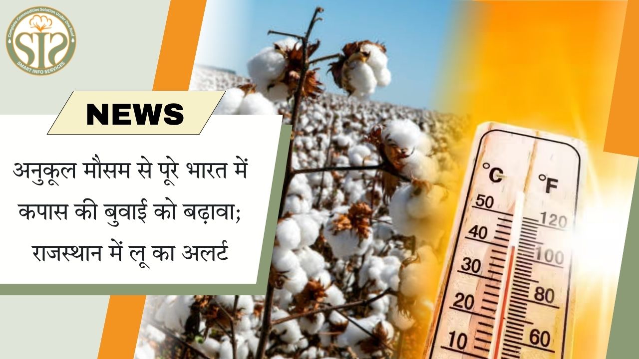 अनुकूल मौसम से कपास बुवाई तेज, राजस्थान में लू का अलर्ट