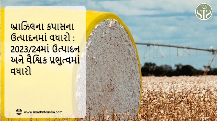 બ્રાઝિલની કપાસ ઉત્પાદન વૃદ્ધિ: ઉત્પાદનમાં વધારો અને 2023/24માં વૈશ્વિક પ્રભુત્વ