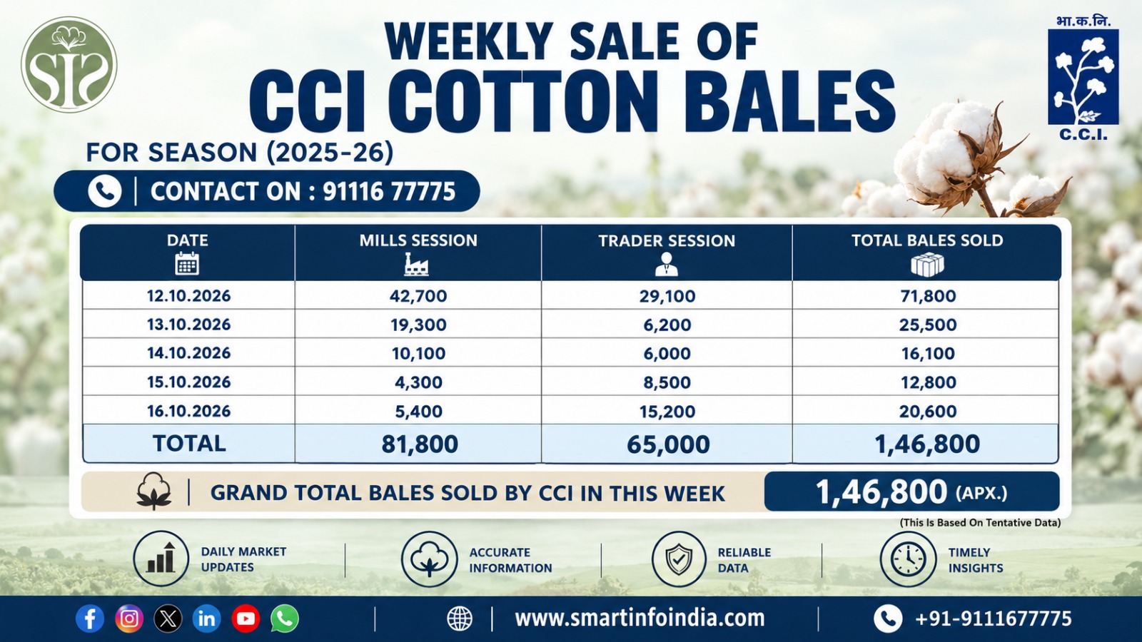 CCI Raises Cotton Prices by ₹800; Weekly Sales Reach 1.46 Lakh Bales