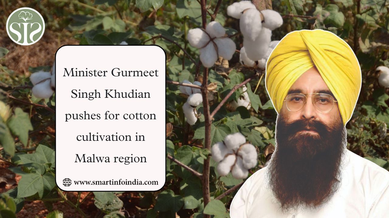 Minister Gurmeet Singh Khudian pushes for cotton cultivation in Malwa region