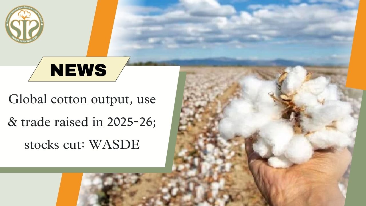 Cotton production-usage increased in 2025-26, stock decreased: WASDE